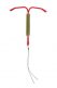 iud